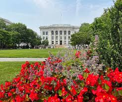 Harvard Medical School quad